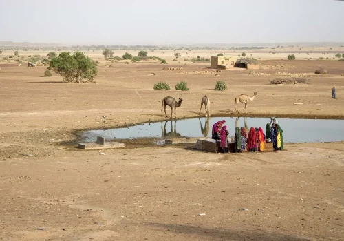 Thar-Desert-India-Rajasthan